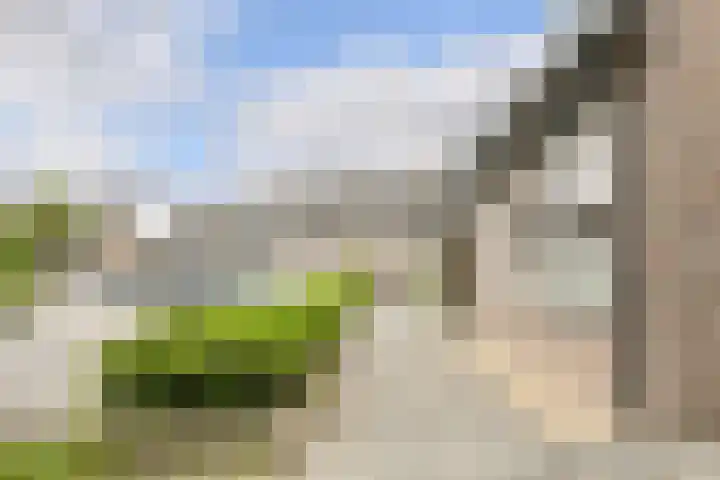Schapendonk 62 Raamsdonksveer thumbnail 43