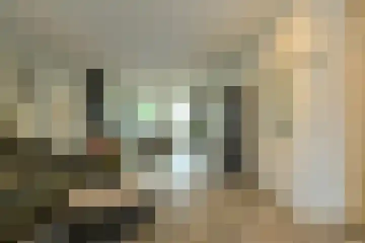 Schapendonk 62 Raamsdonksveer thumbnail 7