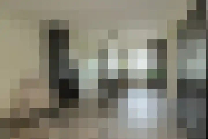 Schapendonk 62 Raamsdonksveer thumbnail 9