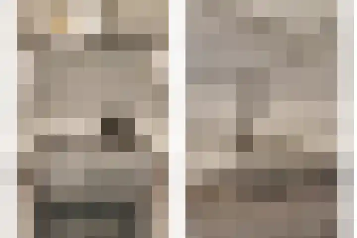 Schapendonk 81 Raamsdonksveer thumbnail 12