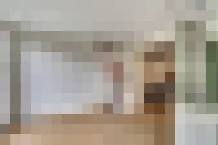 Schapendonk 81 Raamsdonksveer thumbnail 14