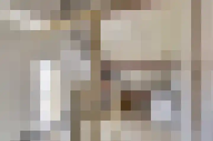 Schapendonk 81 Raamsdonksveer thumbnail 30