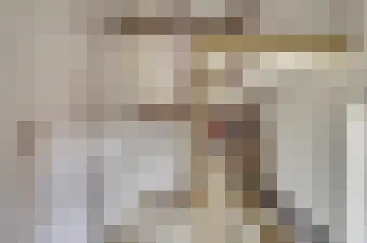 Schapendonk 81 Raamsdonksveer thumbnail 31