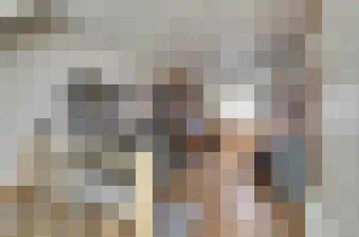 Schapendonk 81 Raamsdonksveer thumbnail 32