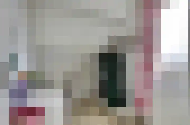 Schapendonk 81 Raamsdonksveer thumbnail 35