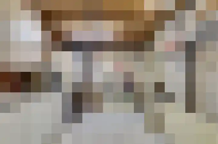 Schapendonk 81 Raamsdonksveer thumbnail 37