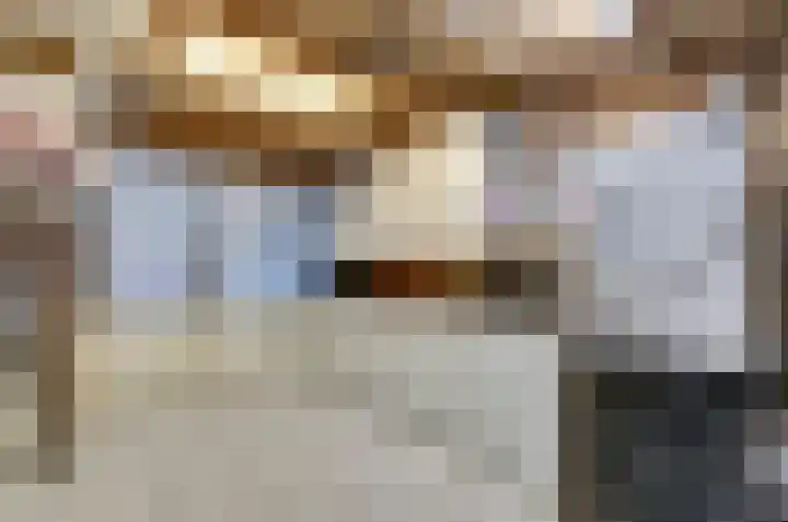 Schapendonk 81 Raamsdonksveer thumbnail 38