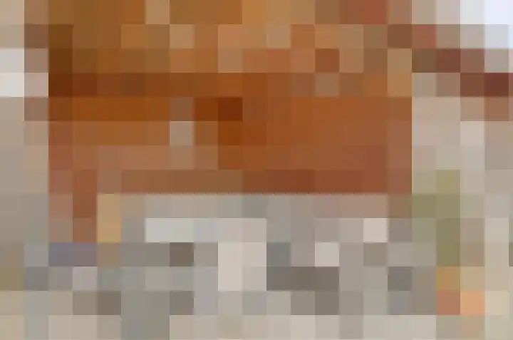 Schapendonk 81 Raamsdonksveer thumbnail 39