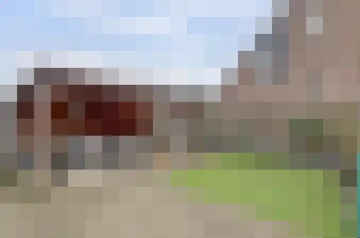Schapendonk 81 Raamsdonksveer thumbnail 40