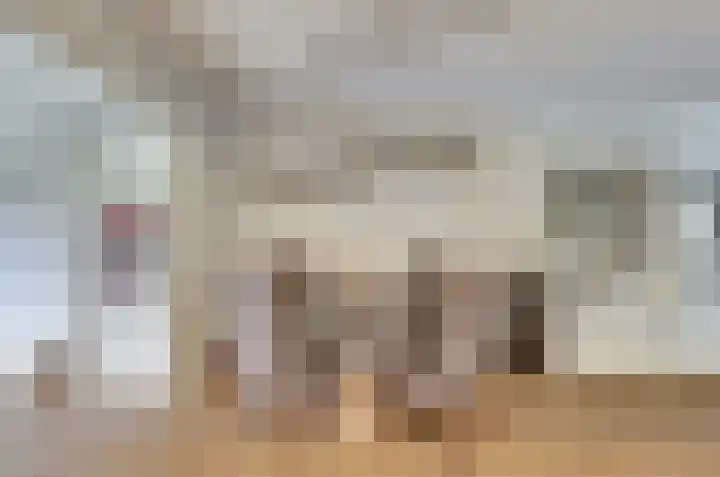Schapendonk 81 Raamsdonksveer thumbnail 5