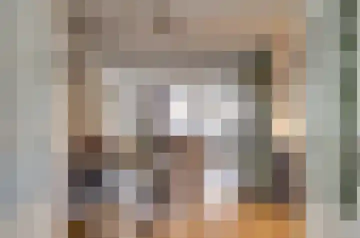 Schapendonk 81 Raamsdonksveer thumbnail 6