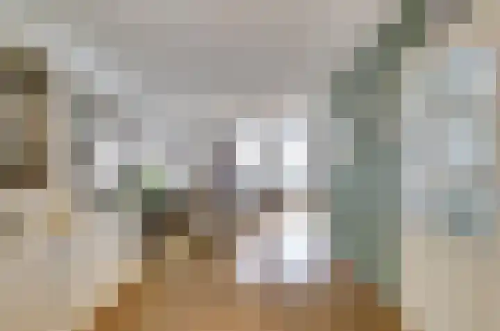 Schapendonk 81 Raamsdonksveer thumbnail 7