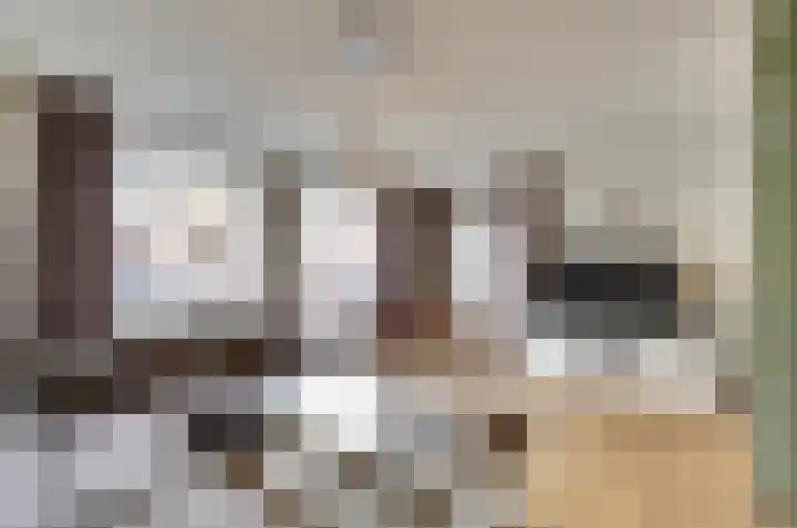 Schapendonk 81 Raamsdonksveer thumbnail 8