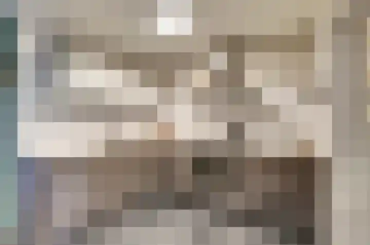 Schapendonk 81 Raamsdonksveer thumbnail 9