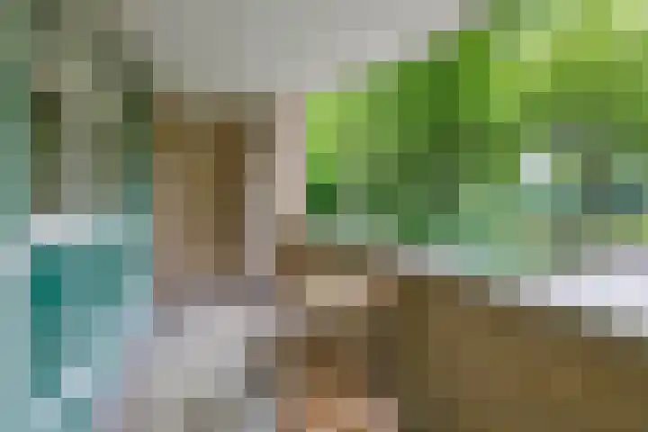Schapendreef 107 Rotterdam thumbnail 10
