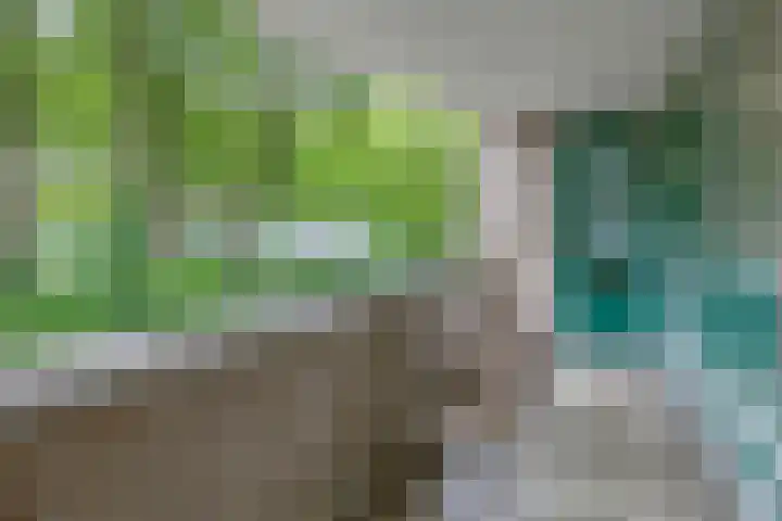 Schapendreef 107 Rotterdam thumbnail 11