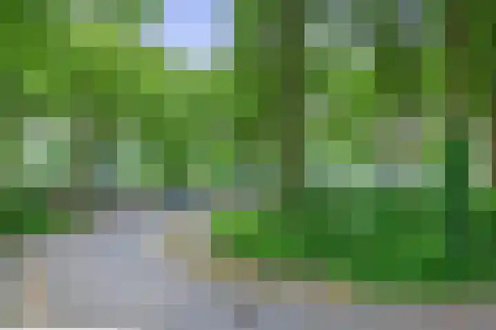 Schapendreef 107 Rotterdam thumbnail 12