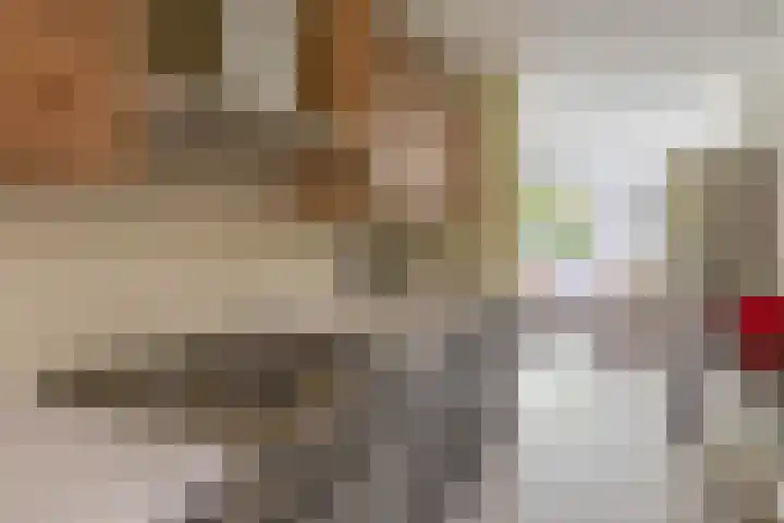 Schapendreef 107 Rotterdam thumbnail 14