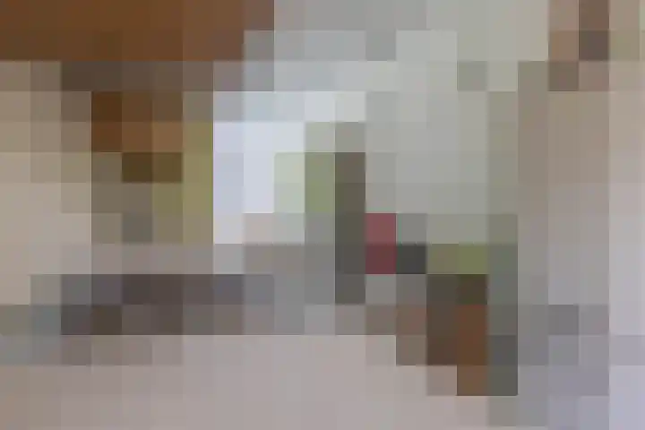 Schapendreef 107 Rotterdam thumbnail 15