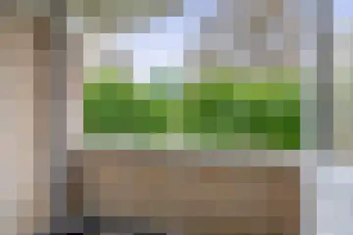 Schapendreef 107 Rotterdam thumbnail 17