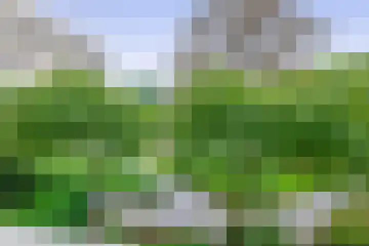 Schapendreef 107 Rotterdam thumbnail 18