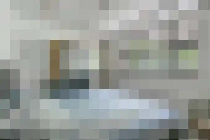 Schapendreef 107 Rotterdam thumbnail 19