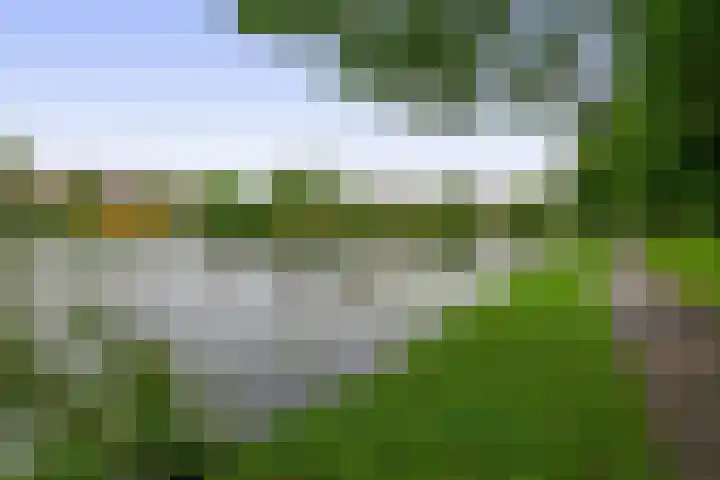 Schapendreef 107 Rotterdam thumbnail 26