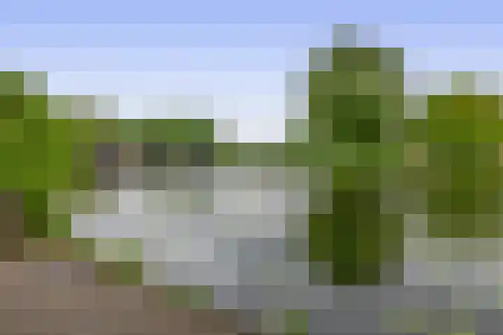 Schapendreef 107 Rotterdam thumbnail 27