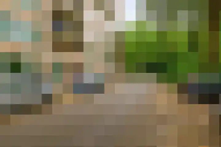 Schapendreef 107 Rotterdam thumbnail 30
