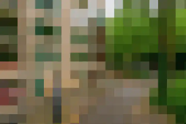 Schapendreef 107 Rotterdam thumbnail 31