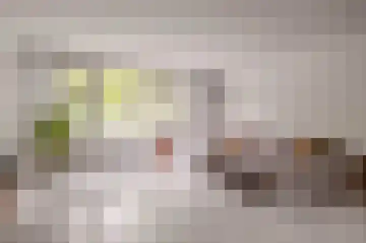 Schapendreef 107 Rotterdam thumbnail 36