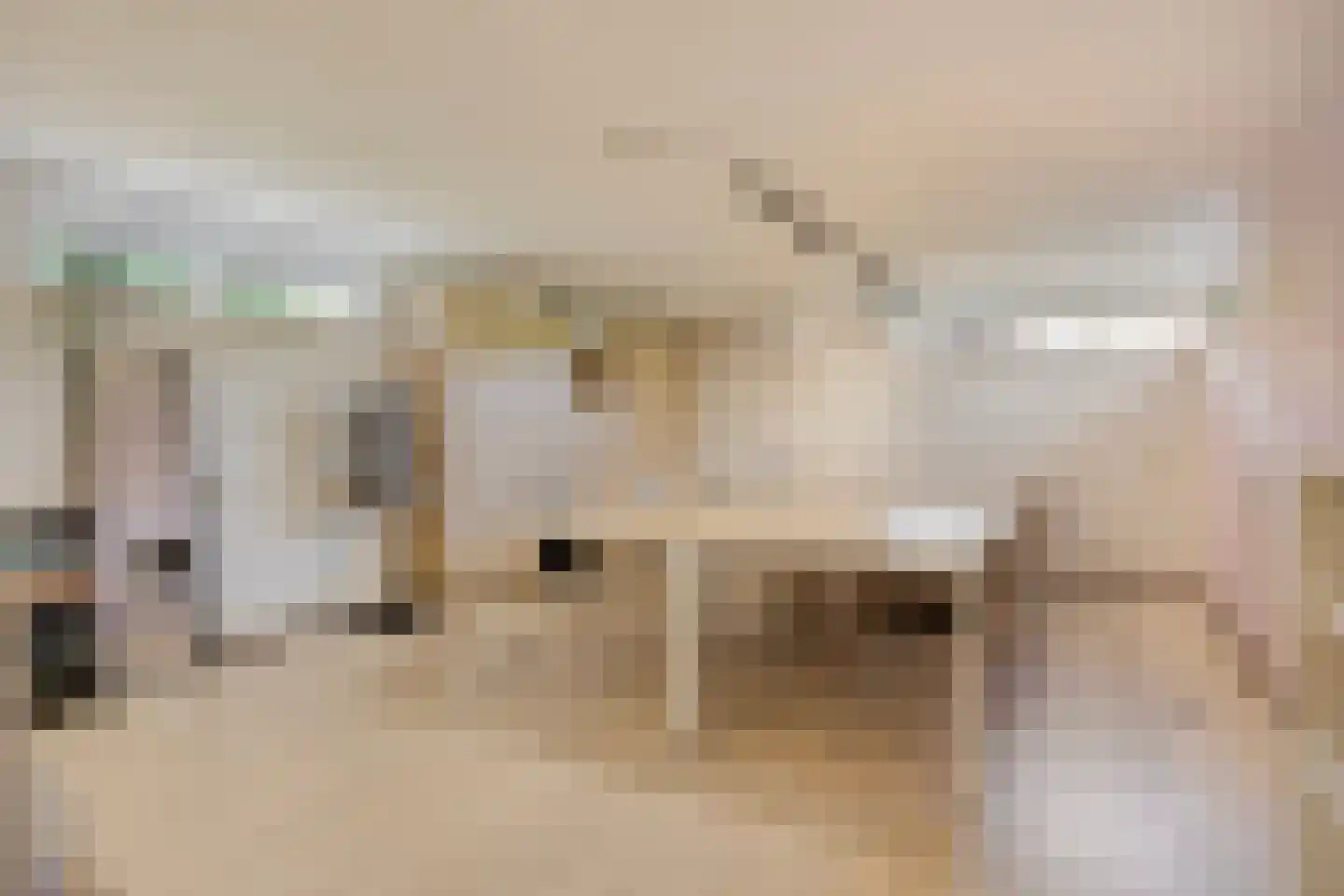 Schapendreef 13 Hoogerheide thumbnail 21