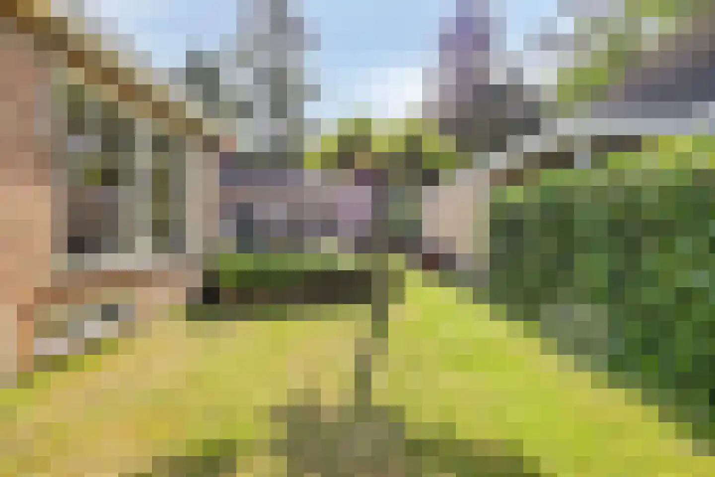 Schapendreef 13 Hoogerheide thumbnail 28