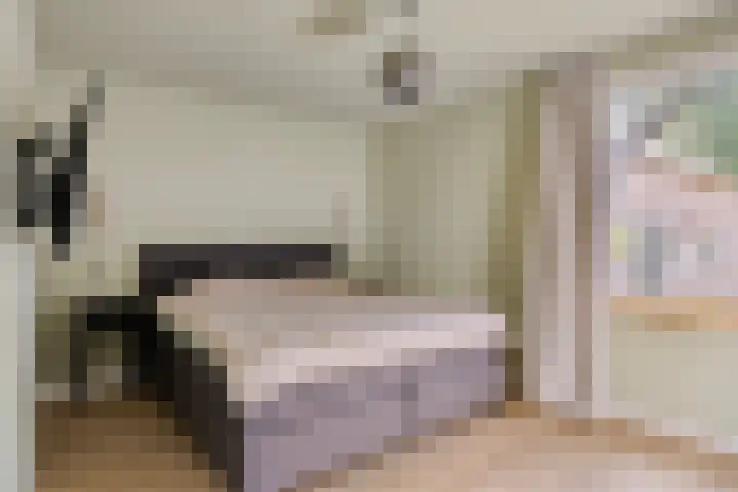 Schapendreef 13 Hoogerheide thumbnail 4
