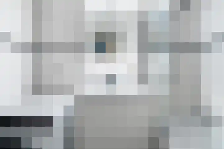 Schapendreef 141 Rotterdam thumbnail 29