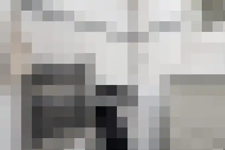 Schapendreef 141 Rotterdam thumbnail 32