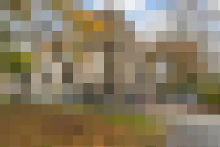 Schapendreef 141 Rotterdam thumbnail 38