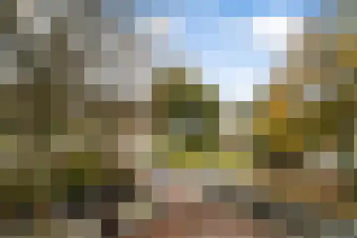 Schapendreef 141 Rotterdam thumbnail 41