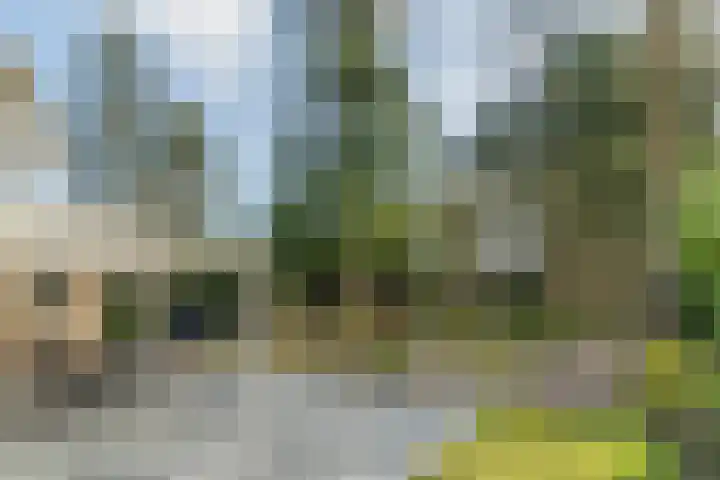 Schapendreef 15 Hoogerheide thumbnail 39