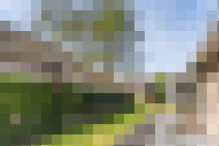 Schapendreef 15 Hoogerheide thumbnail 40