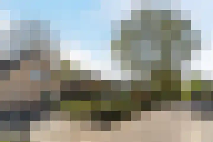 Schapendreef 15 Hoogerheide thumbnail 46