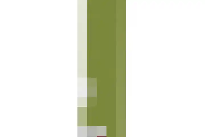 Schapendreef 15 Hoogerheide thumbnail 54
