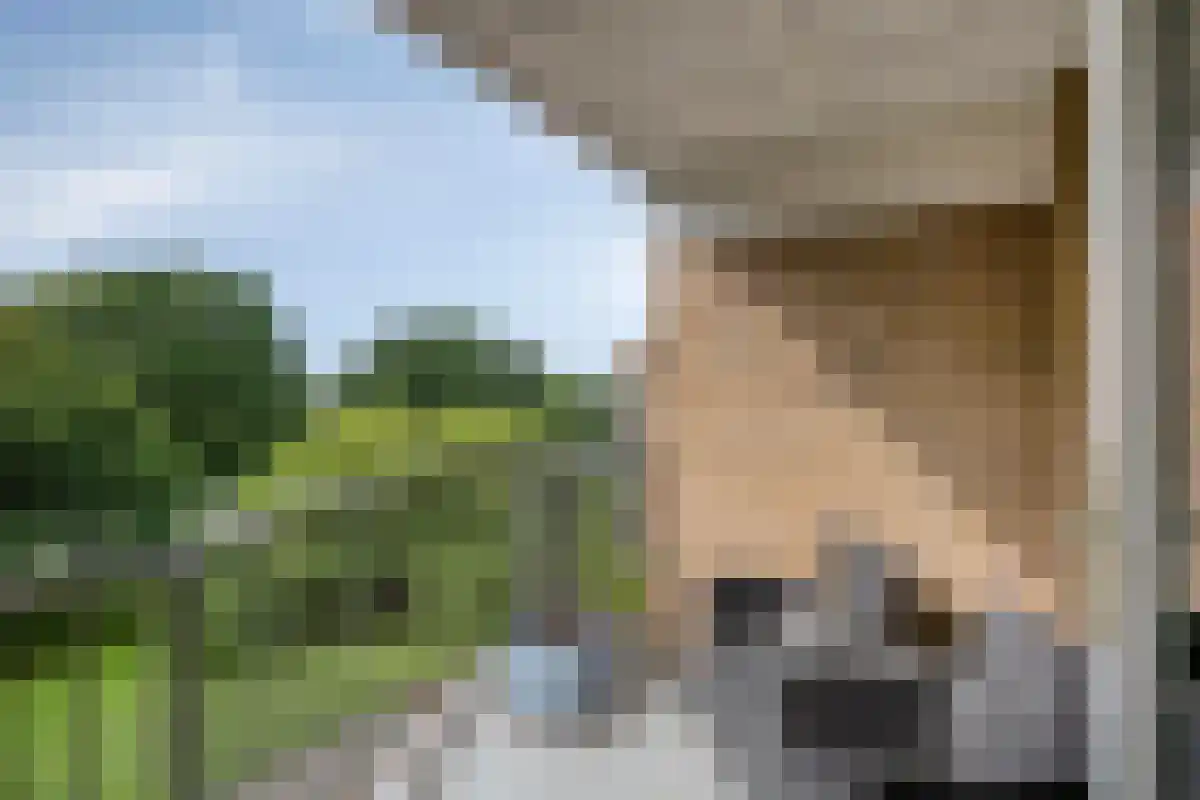 Schapendreef 151 Rotterdam thumbnail 4