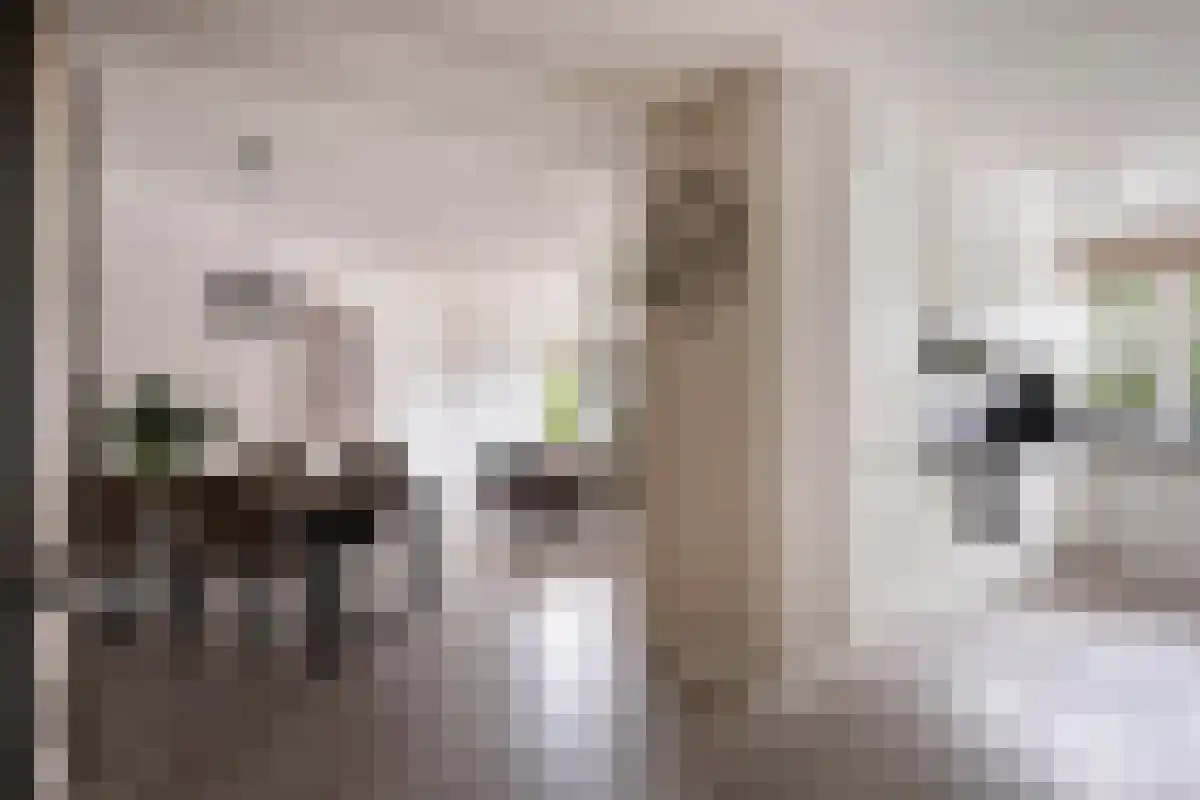 Schapendreef 151 Rotterdam thumbnail 5