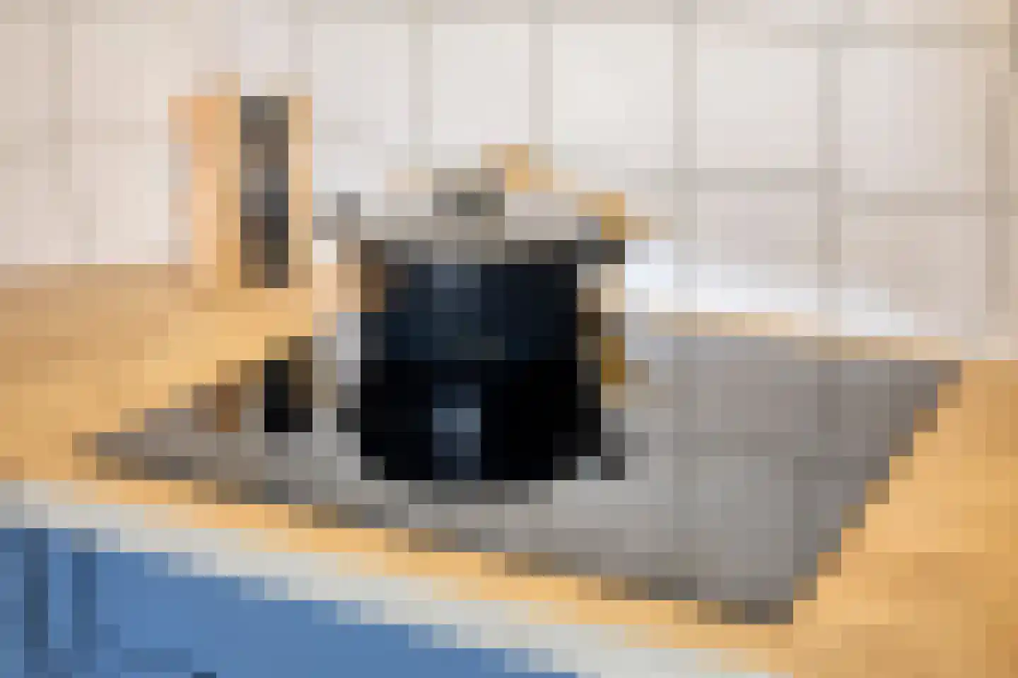 Schapendreef 18 Landhorst thumbnail 16