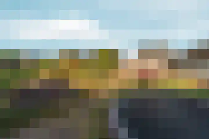 Schapendreef 18 Landhorst thumbnail 21