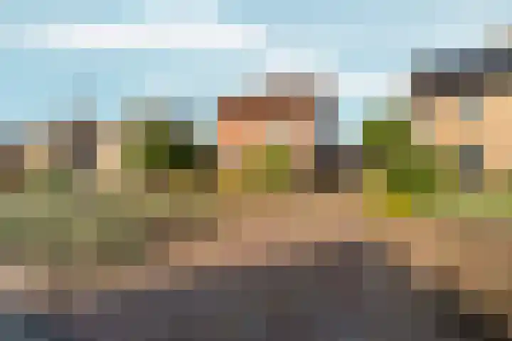 Schapendreef 18 Landhorst thumbnail 22