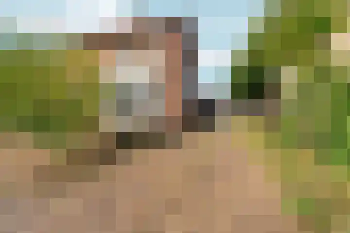 Schapendreef 18 Landhorst thumbnail 23