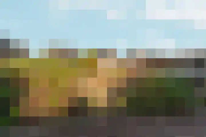 Schapendreef 18 Landhorst thumbnail 27