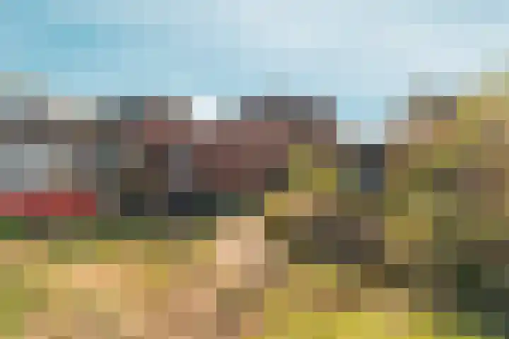 Schapendreef 18 Landhorst thumbnail 28